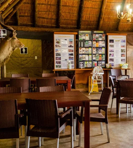 Interior of the renovated zoo cafe